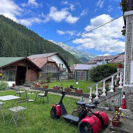 Pensiunea Rodica Moeciu De Sus Exterior foto