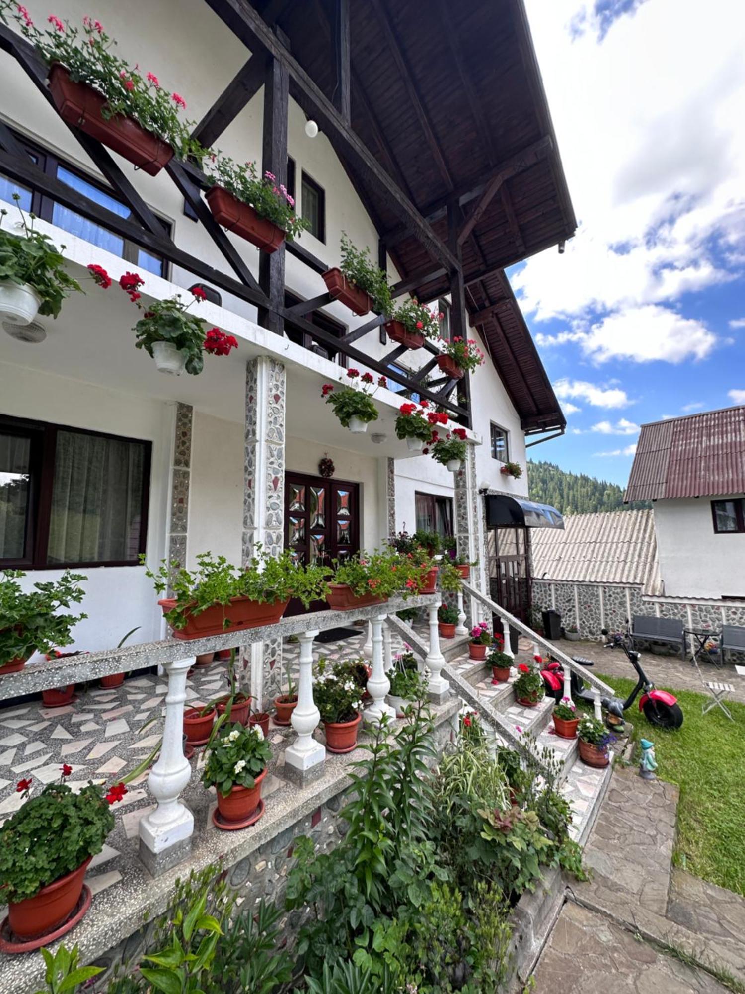 Pensiunea Rodica Moeciu De Sus Exterior foto