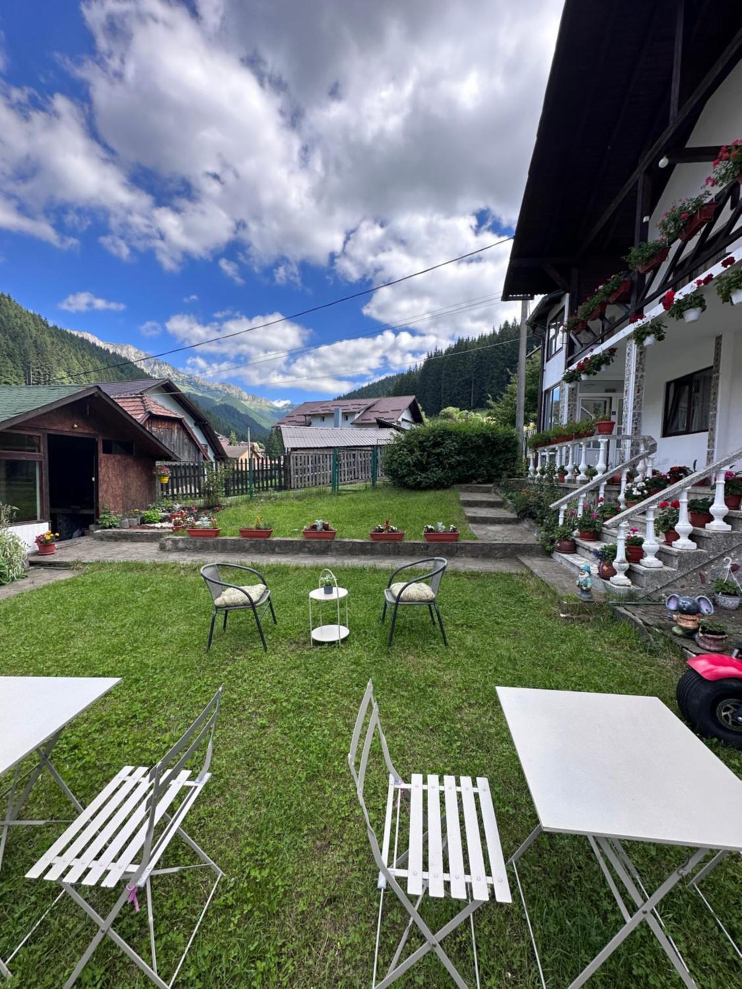 Pensiunea Rodica Moeciu De Sus Exterior foto